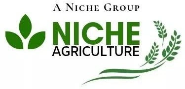 Partner Client Logo